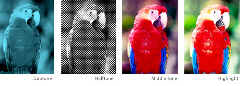 Image Tones Highlights