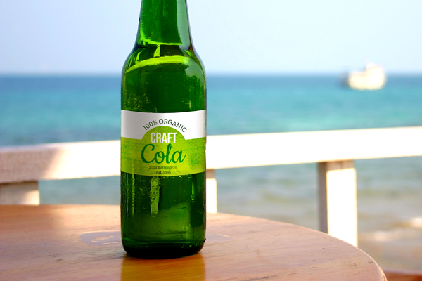 Product image: 16.9 oz Soda Bottle