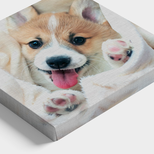 Product image: Square Canvas Prints