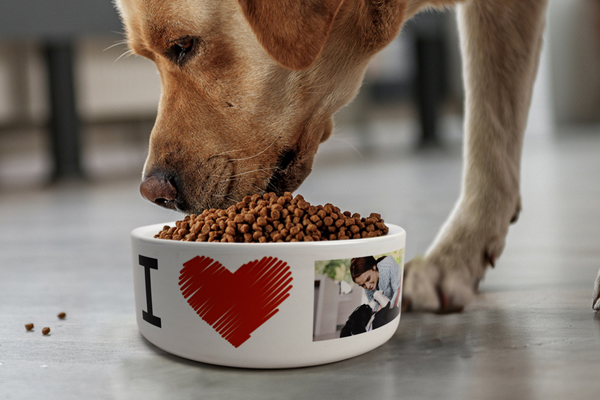 Product image: Small Pet Bowls